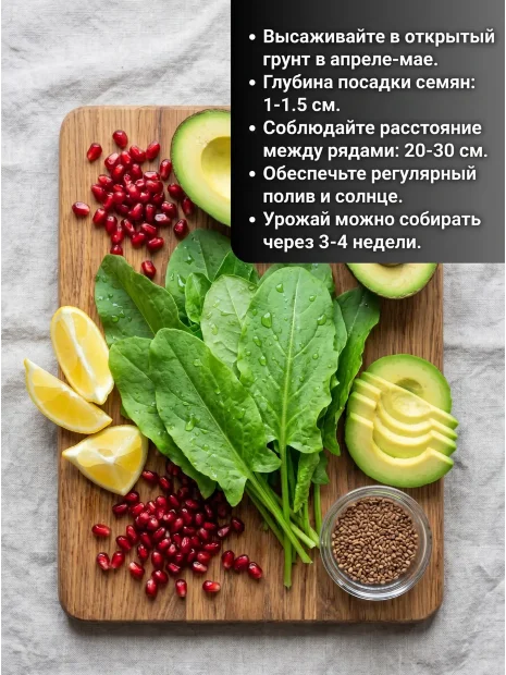 Щавель Крупнолистный семена 