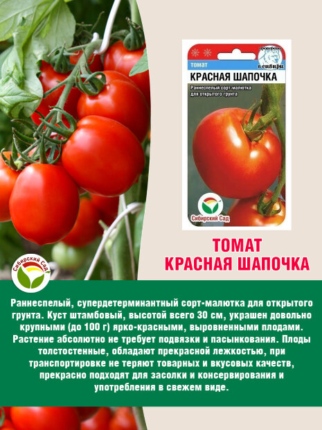 Томат Красная Шапочка семена 