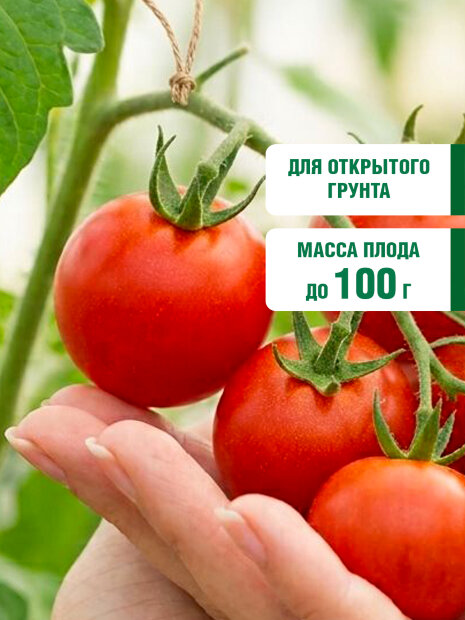 Томат Красная Шапочка семена 