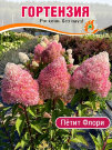 Гортензия Петит Флори