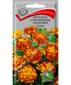 Бархатцы отклоненные махровые Болеро
