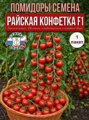 Томат Райская конфетка F1