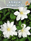Клематис Халина Нолл
