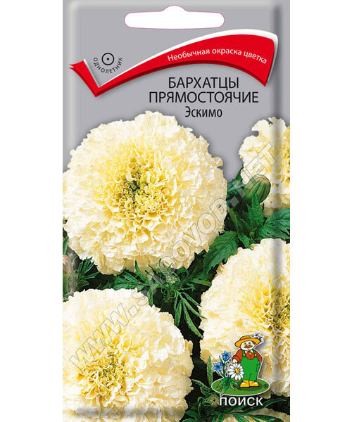 Бархатцы прямостоячие Эскимо